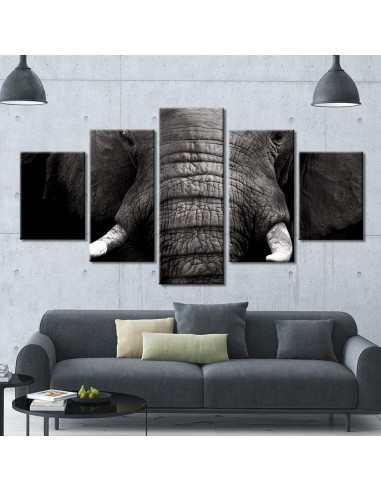 Tableau Éléphant Tête d'Animal de l' environnement